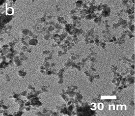 Mit Zitronensäure funktionalisierte Eisenoxid Partikel, Phase: Magnetit (Fe3O4)